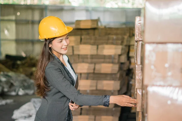 Mujer Trabajadora Que Trabaja En Un Lugar De Construcción De Madera Con Ropa  De Trabajo Foto de archivo - Imagen de tenencia, empresario: 236591020