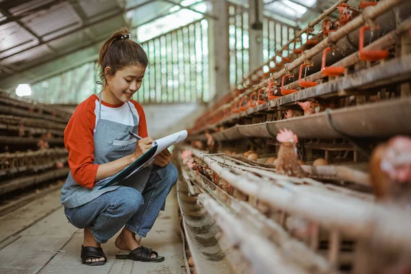 asian female poultry farmer wearing apron writing something on paper in clipboard while squatting on organic farm