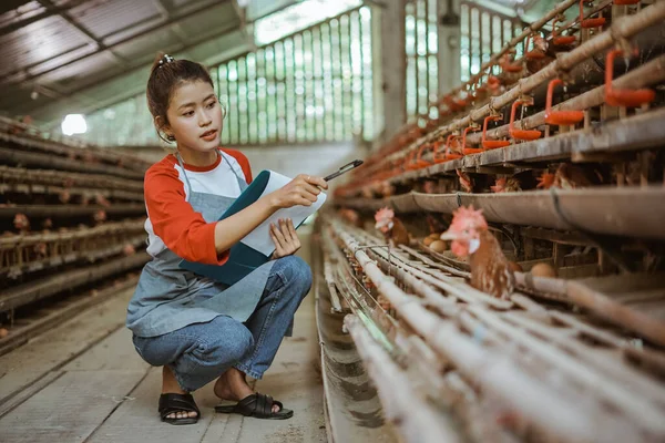 Asian female poultry farmer wearing apron counting and holding clipboard while squatting on organic farm