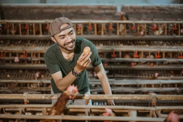 Tersenyum Laki Laki Pengusaha Ayam Panen Telur Rumah Ayam — Stok Foto