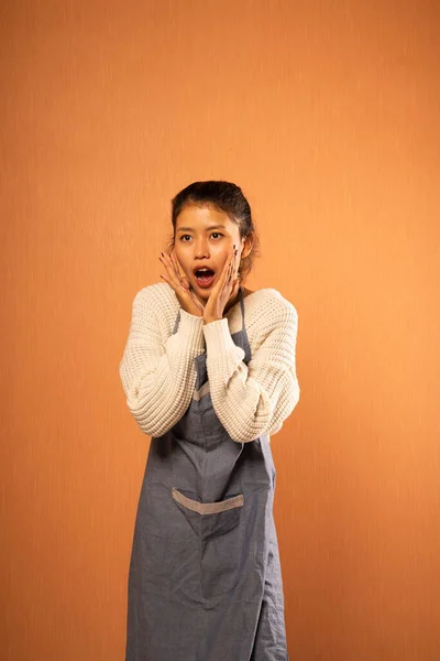 Young Asian Woman Wearing Apron Surprised Expression Isolated Background Royalty Free Stock Images