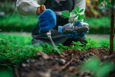 Seçici bir bakış açısıyla, elinde bahçe malası tohumu tutan bir kadın.