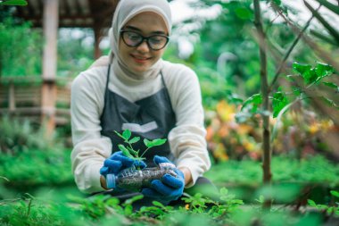 Başörtülü kadın plastik şişe atıklarına tohum ekiyor, geri dönüşüm konsepti