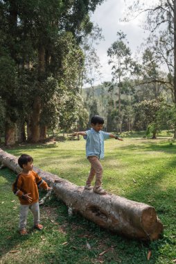 Doğayla dolu yemyeşil bir parkta oynarken iki çocuk bir kütüğün üzerinde neşeyle dengede duruyorlar.