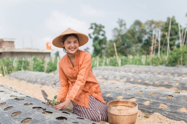 Neşeli bir çiftçi güzel bir tarlada çalışarak geleneksel tarımı sergiliyor.