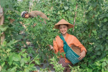 Neşeli bir çiftçi, yeşillik dolu canlı ve serpilen bir bahçede mahsul toplamakla meşgul.
