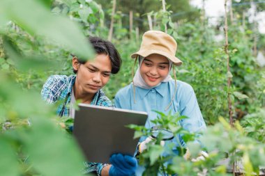 İki çiftçi bitkilerle dolu canlı bir bahçedeki bir tabletteki tarım verilerini inceliyor.