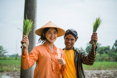 Neşeli çiftçiler canlı yeşil tarlalarında yemyeşil pirinç fidelerini gururla tutarlar.