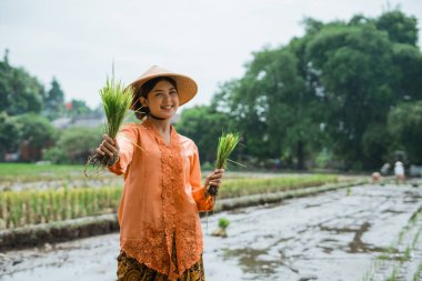 Mutlu bir çiftçi bereketli bir hasat kutluyor yemyeşil pirinç tarlasında, doğal güzelliklerin ortasında.
