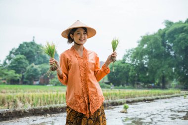 Neşeli bir çiftçi taze ve sağlıklı sebzelerle çevrili canlı bir pirinç tarlasında kutlama yapar.