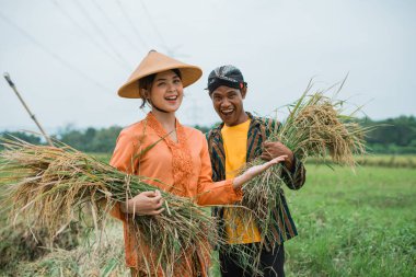 İki neşeli çiftçi enerjik bir şekilde canlı yeşil bir tarlada pirinç topluyor.