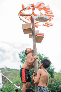tırmanan çocuk betel fındık tırmanma direğini tutarken asılı duran ödüle bakar.