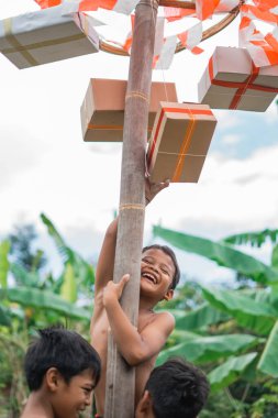 Mutlu çocuklar Endonezya 'nın bağımsızlık gününü anmak için arkadaşlarıyla Areca Fıstığı' na tırmanıyor.