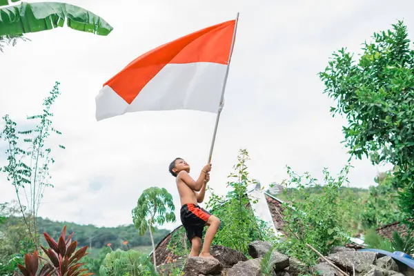 Üstsüz çocuk, arkasında doğa olan Endonezya bayrağını sallayarak dimdik ayakta duruyor.