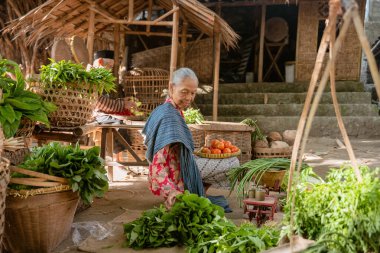 Yaşlı bir kadın, hareketli ve hareketli bir pazar ortamında taze yetişmiş sebzeleriyle sevgiyle ilgileniyor.