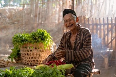 Yaşlı bir çiftçi neşeyle çeşitli canlı sebzelerin arasında poz veriyor. Güzel, güneşli kırsal bir ortamda.