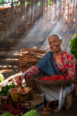İnanılmaz derecede neşeli, yaşlı bir kadın canlı bir doğa zeminiyle çevrili bir demet taze kırmızı biber tutuyor.