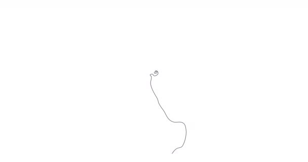 Само Рисование Одной Линии Иконка Женщина Головы Простая Анимация Непрерывной — стоковое видео