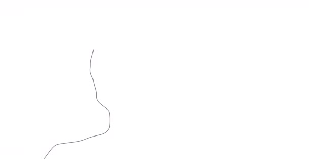 Auto Desenho Uma Linha Ícone Cabeça Mulher Animação Simples Desenho — Vídeo de Stock