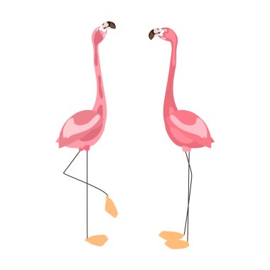 Flamingo pembe kuşu. Beyaz arka planda flamingo kuşları. Hayvanat bahçesi koleksiyonu. Herhangi bir amaç için pembe, beyaz vektör yaz tasarımı. Vektör illüstrasyonu