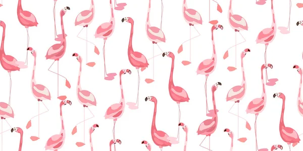 Бесшовный Рисунок Птицы Фламинго Коллекция Зоопарка Розовый Белый Векторный Летний — стоковый вектор