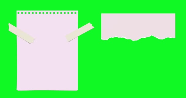 Цветные Листы Бумаги Рваные Куски Разорванными Краями Подкладка Анимированные Бумажные — стоковое видео