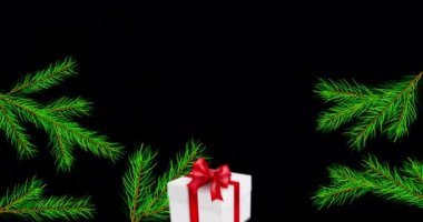 Noel arkaplanı bir sürü köknar dalı ve hediye kutusuyla dolu. Yılbaşı ve Noel kartları için animasyon kış xmas illüstrasyonu. Mevsimlik tebrikler. 4K video kartı