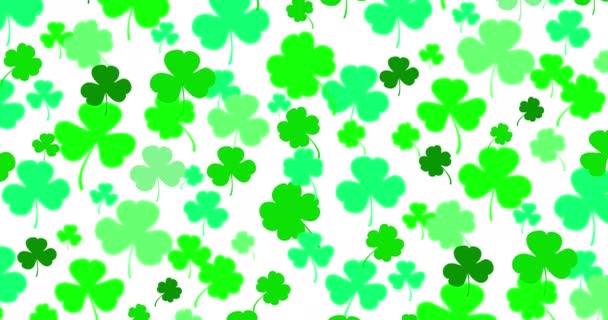Saint Patrick Day Motif Green Shamrock Animation Movement Pattern Shamrock — Stock Video