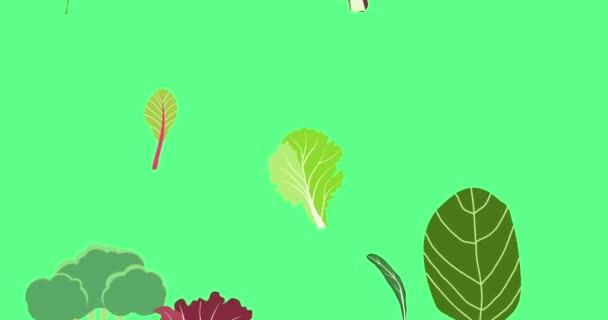Salade Volante Laisse Animation Cartoon Set Vert Feuilles Crues Rouges — Video