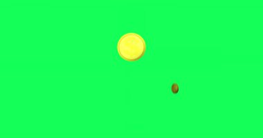 Dolar sikkeleri. Bir sürü para ortaya çıkar ve döner. Animasyon altın sikkeler yeşilin üstünde. Tasarım reklamın için kullanılabilir, Amerikan doları bayrağı, iş başarısı konsepti, enflasyon. 4K video grafiği