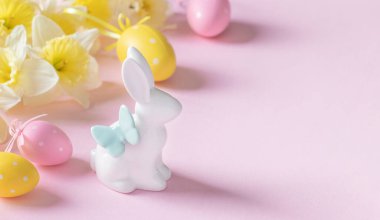 Paskalya tavşanı, nergisler, pembe arka planda pembe ve sarı yumurtalar. Paskalya kartpostalı