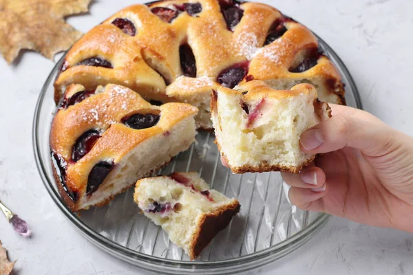 stock image Piece of homemade pie with plums in female hand