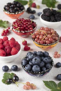 Yaz vitamin yiyeceği konsepti, çeşitli böğürtlen seti - yabanmersini, ahududu, böğürtlen, kırmızı beyaz ve siyah frenk üzümü tabakları, dikey format