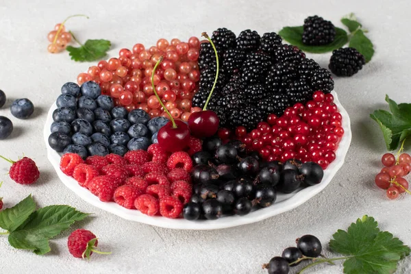 비타민 식품의 열매들 블루베리 라즈베리 블랙베리 과검은 꼬불꼬불 — 스톡 사진