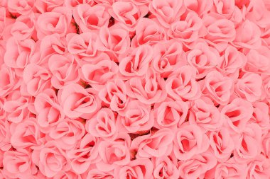 Gül arkaplan dokusu