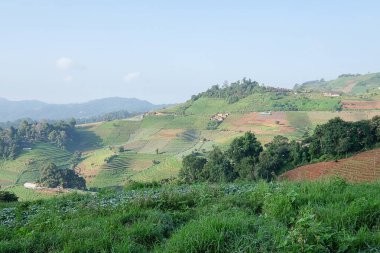 Alanın ve dağların atmosferi