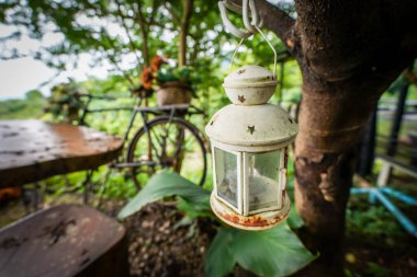 Mum çubuğu ağaca çarpıcı bir tonda asılır.