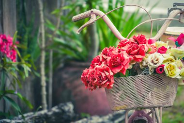 Bisiklette kırmızı güller dramatik bir tonda