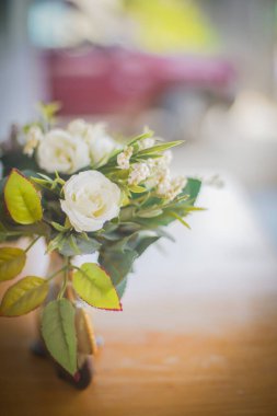 Oturma odasındaki güller dramatik bir tonda.