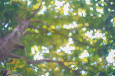soyut bokeh doğal arkaplan dokusu dramatik bir tonla
