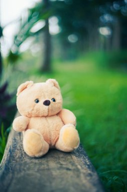 Bahçedeki oyuncak ayı.