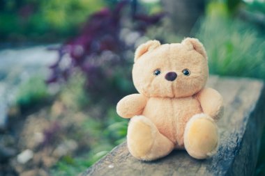 Bahçedeki oyuncak ayı.