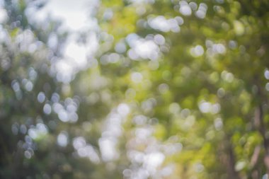 soyut doğal bokeh arkaplan dokusu yumuşak tonda