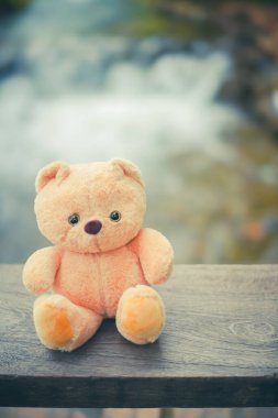 Tahta zemindeki yumuşak tonlu oyuncak ayı.