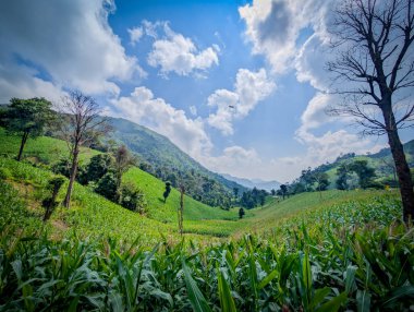 Tayland 'daki dağın atmosferi