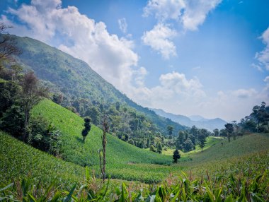 Tayland 'daki dağın atmosferi