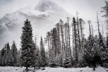 Kar dağının atmosferi 