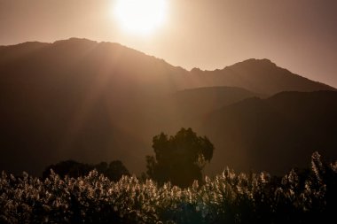 Reed of San Teodoro lagoon with mountains in Sadinia Italy during sunset, sun rays and sun in the sky