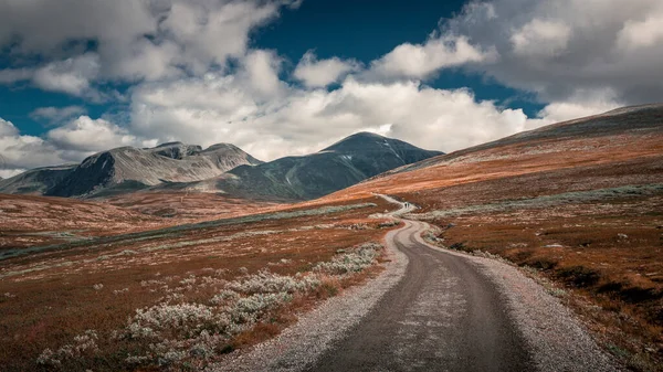 Vandring Rondane Nationalpark Med Slingrande Stig Och Berg Molnig Himmel — Stockfoto