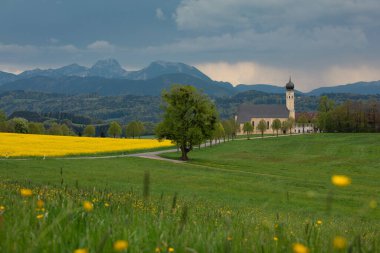 Bavarian church of pilgrimage in Wilparting Irschenberg during summer, yellow canola field and flowers in the foreground, mountains in background, dramatic sky, Bavaria Germany